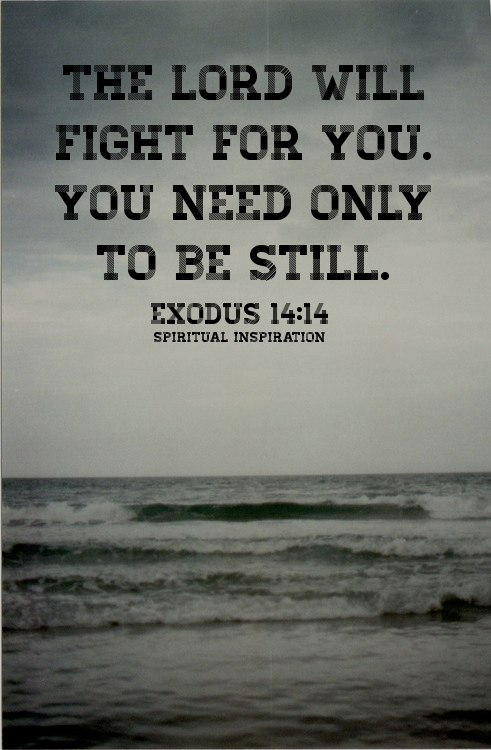 The Lord will Fight for You!